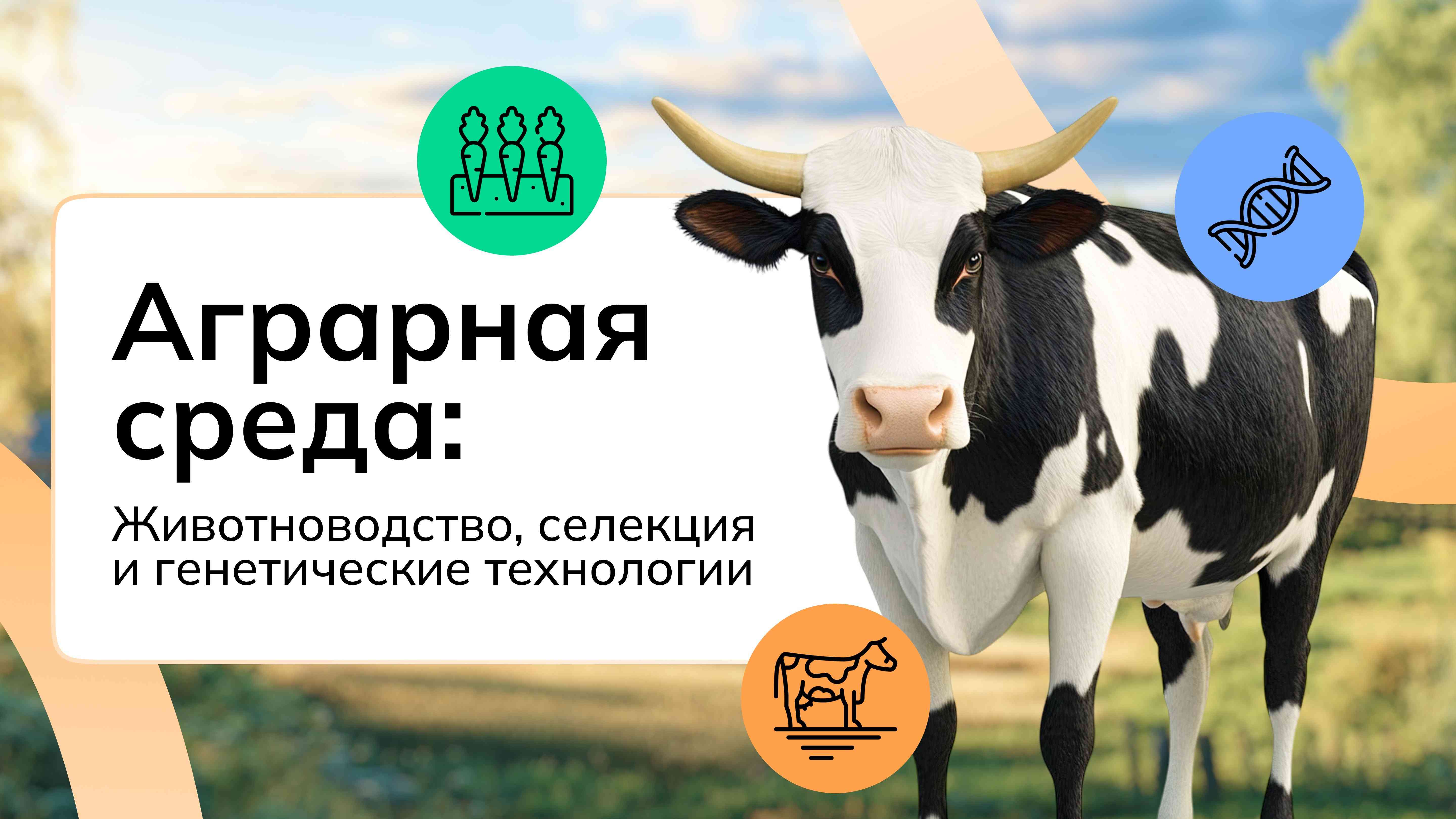 Россия аграрная.